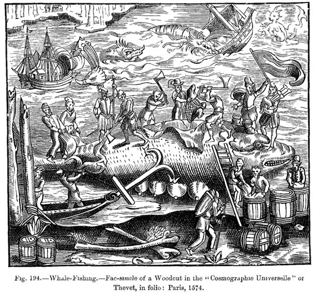 Woodcut from 1574, showing men flensing a whale (Hull Museums)